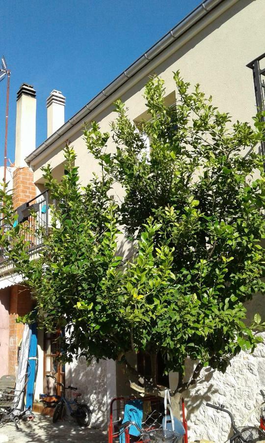 Wolverine Residence Zadar Bagian luar foto